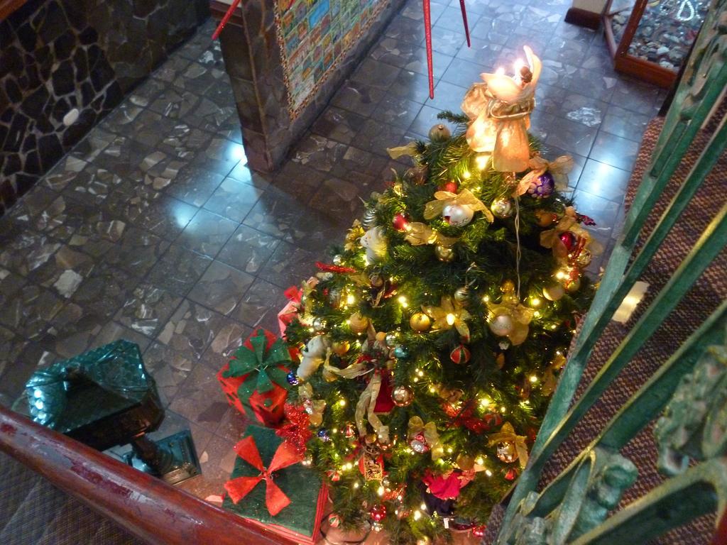 Hotel Don Carlos Сан-Хосе Экстерьер фото